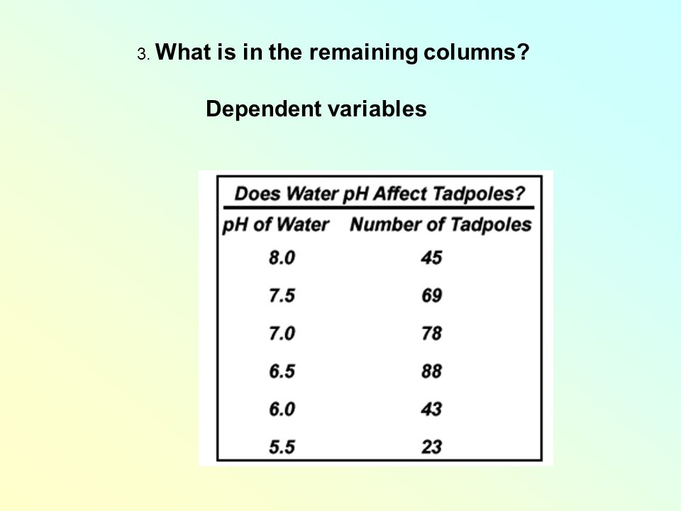 3. What is in the remaining columns Dependent variables