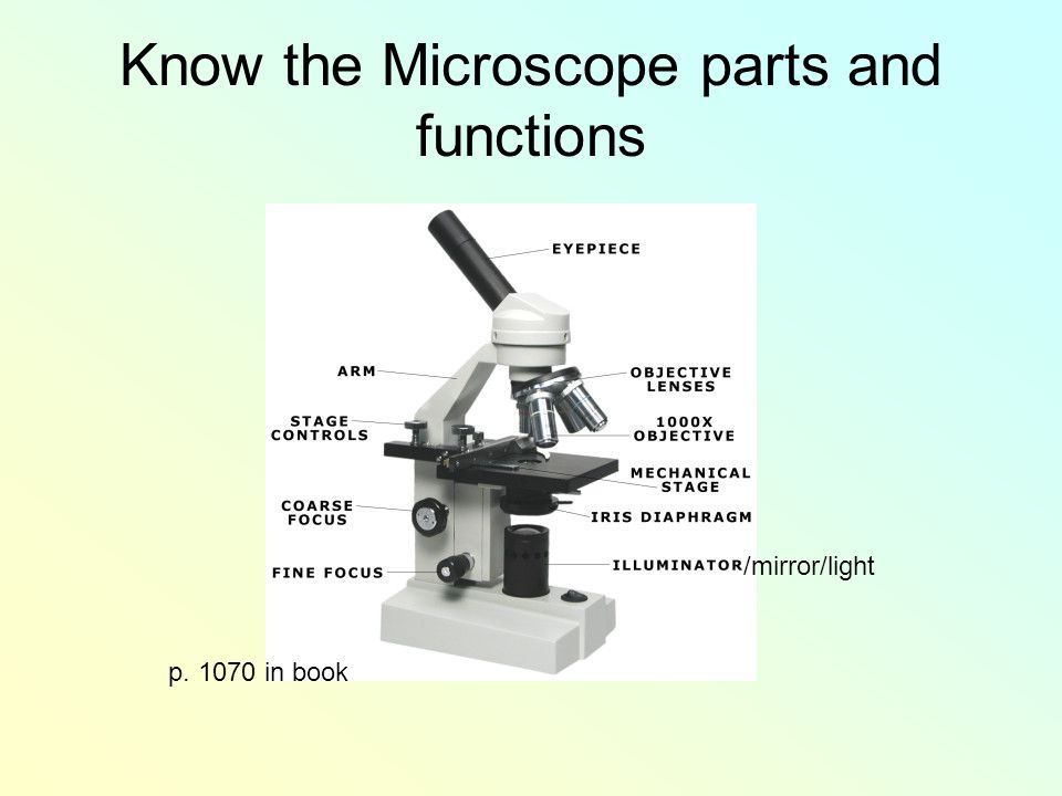 Know the Microscope parts and functions /mirror/light p in book