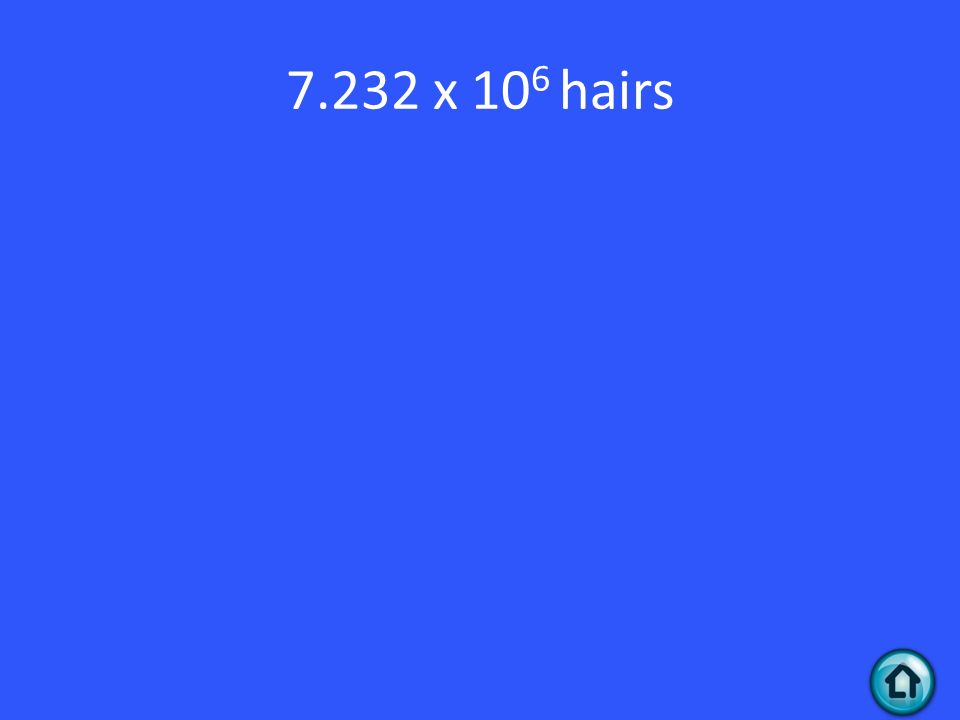 7.232 x 10 6 hairs