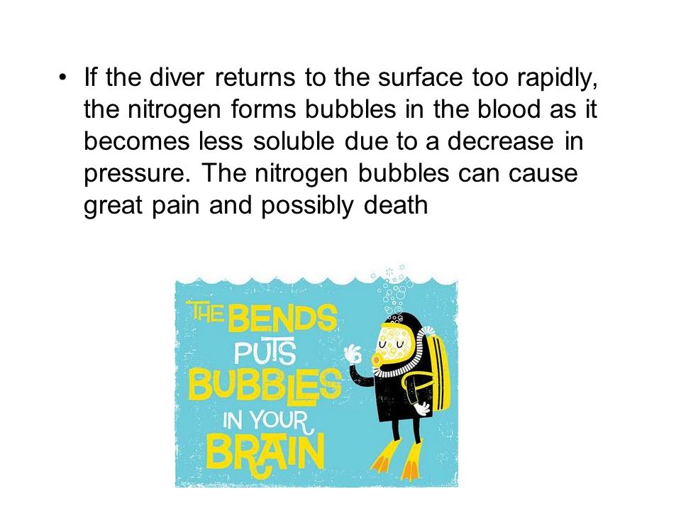 If the diver returns to the surface too rapidly, the nitrogen forms bubbles in the blood as it becomes less soluble due to a decrease in pressure.