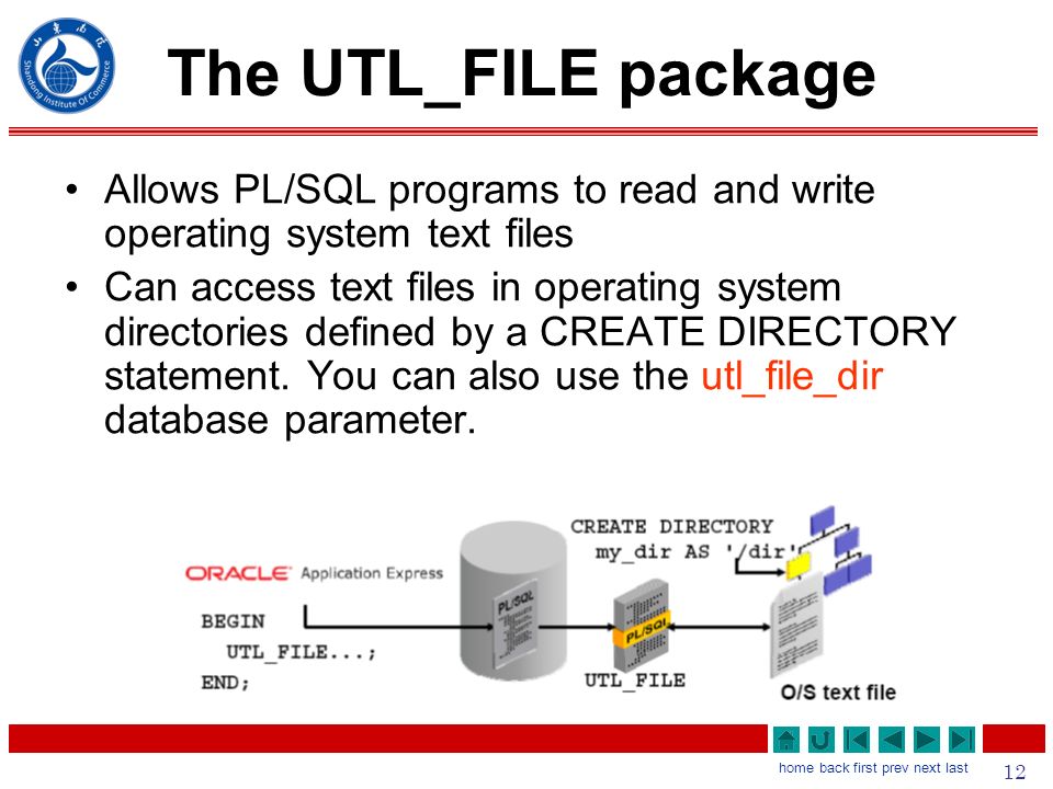 Using Oracle Supplied Packages 2 Home Back First Prev Next Last What Will I Learn Describe Two Common Uses For The Dbms Output Server Supplied Package Ppt Download
