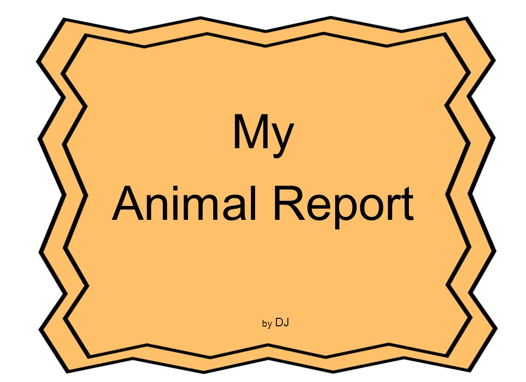 Animals you look like. Information Report animal.