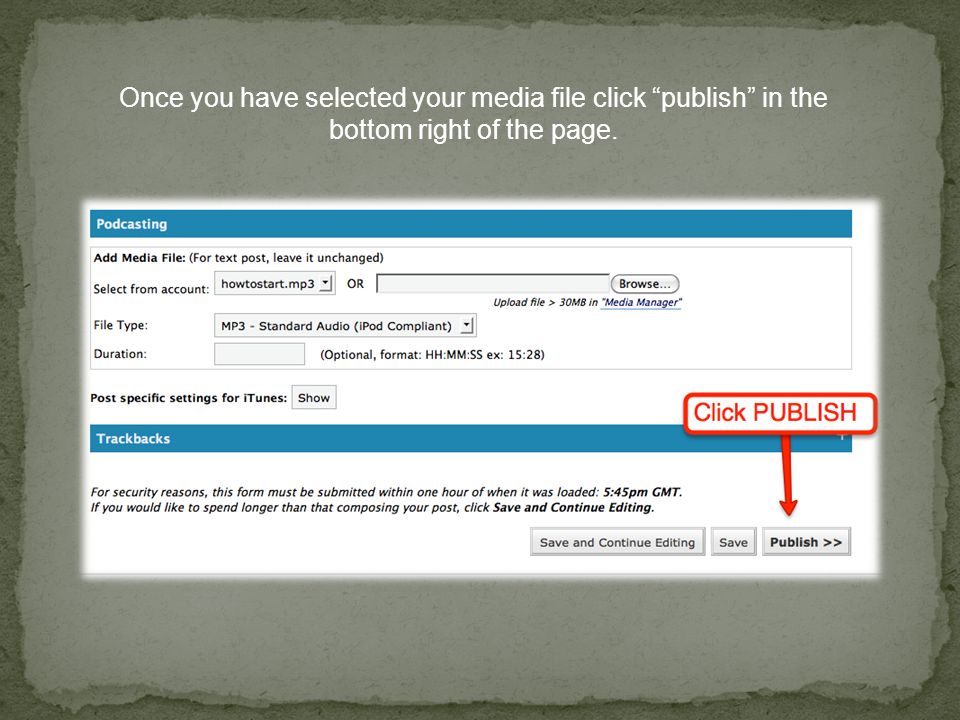 Once you have selected your media file click publish in the bottom right of the page.