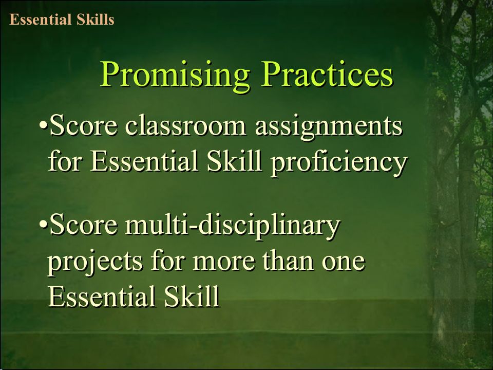 11/30/2015 Score classroom assignments for Essential Skill proficiency Score multi-disciplinary projects for more than one Essential Skill Score classroom assignments for Essential Skill proficiency Score multi-disciplinary projects for more than one Essential Skill Promising Practices Essential Skills