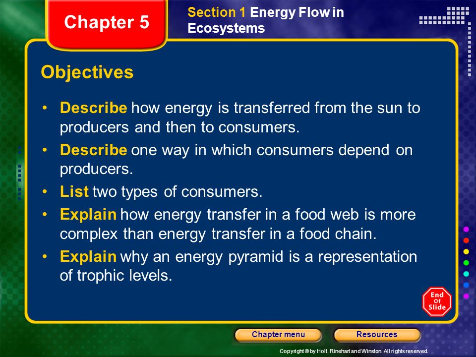 Copyright © by Holt, Rinehart and Winston. All rights reserved.  ResourcesChapter menu Warm Up Section 5.1: Energy Flow in Ecosystems What  Powers Life? - ppt download