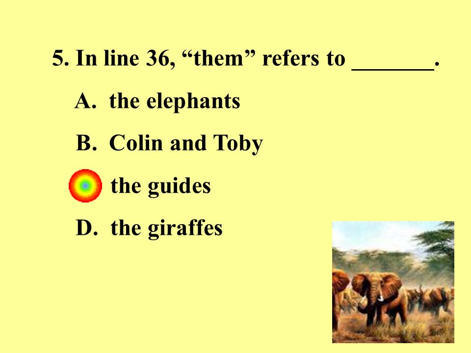 5. In line 36, them refers to _______. A. the elephants B.