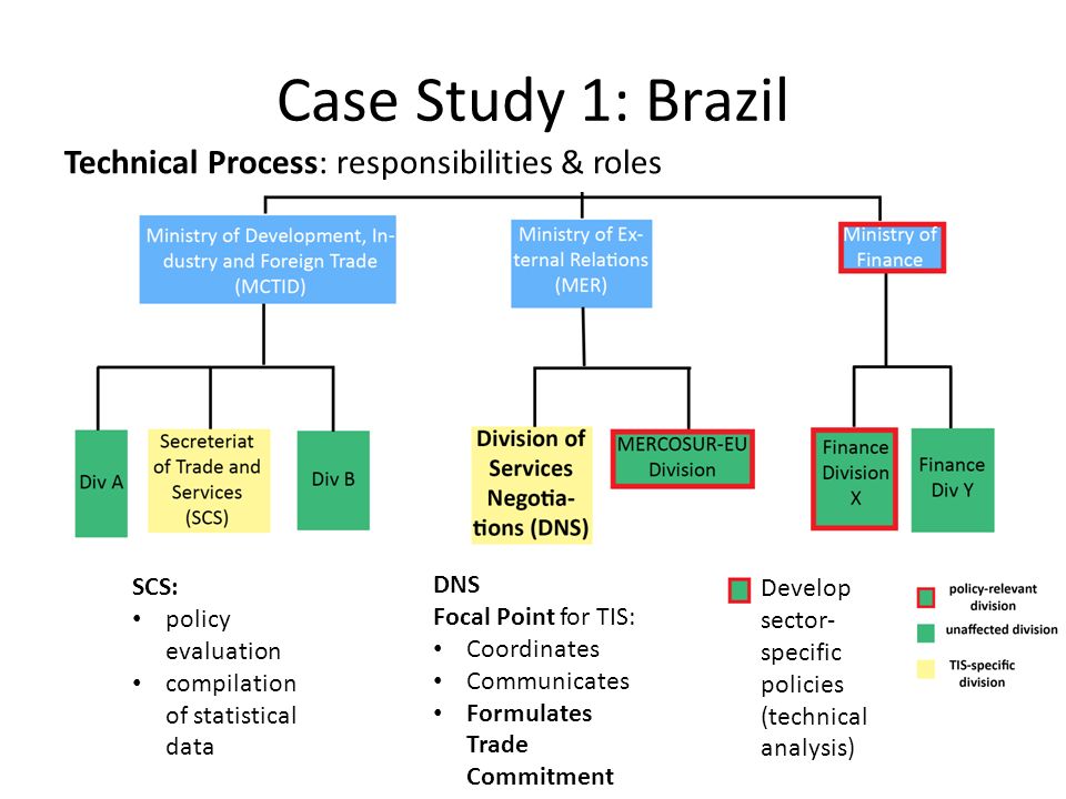 Technical Process: responsibilities & roles Case Study 1: Brazil DNS Focal Point for TIS: Coordinates Communicates Formulates Trade Commitment SCS: policy evaluation compilation of statistical data Develop sector- specific policies (technical analysis)