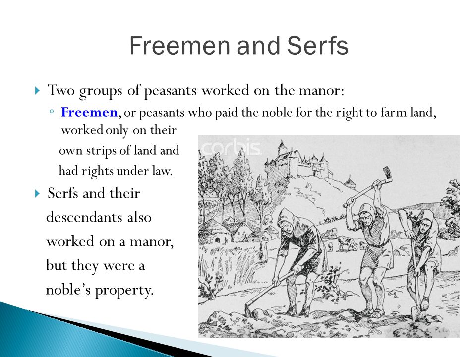  Two groups of peasants worked on the manor: ◦ Freemen, or peasants who paid the noble for the right to farm land, worked only on their own strips of land and had rights under law.