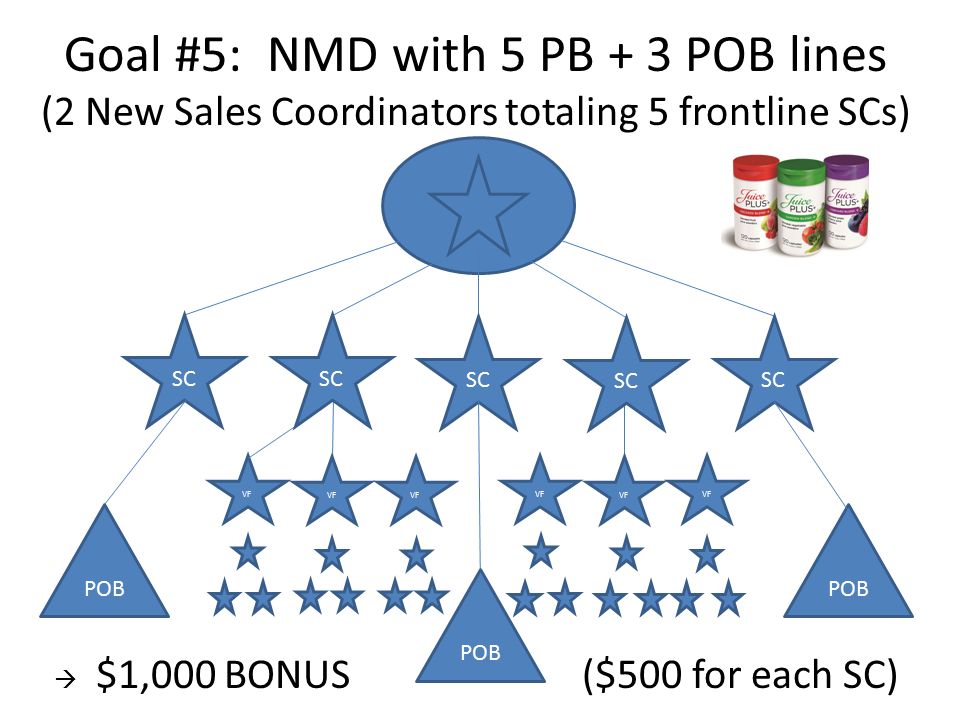 Goal #5: NMD with 5 PB + 3 POB lines (2 New Sales Coordinators totaling 5 frontline SCs)  $1,000 BONUS ($500 for each SC) VF SC VF SC POB