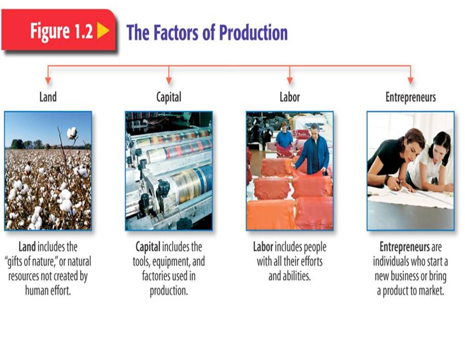 4 Factors of Production Explained With Examples