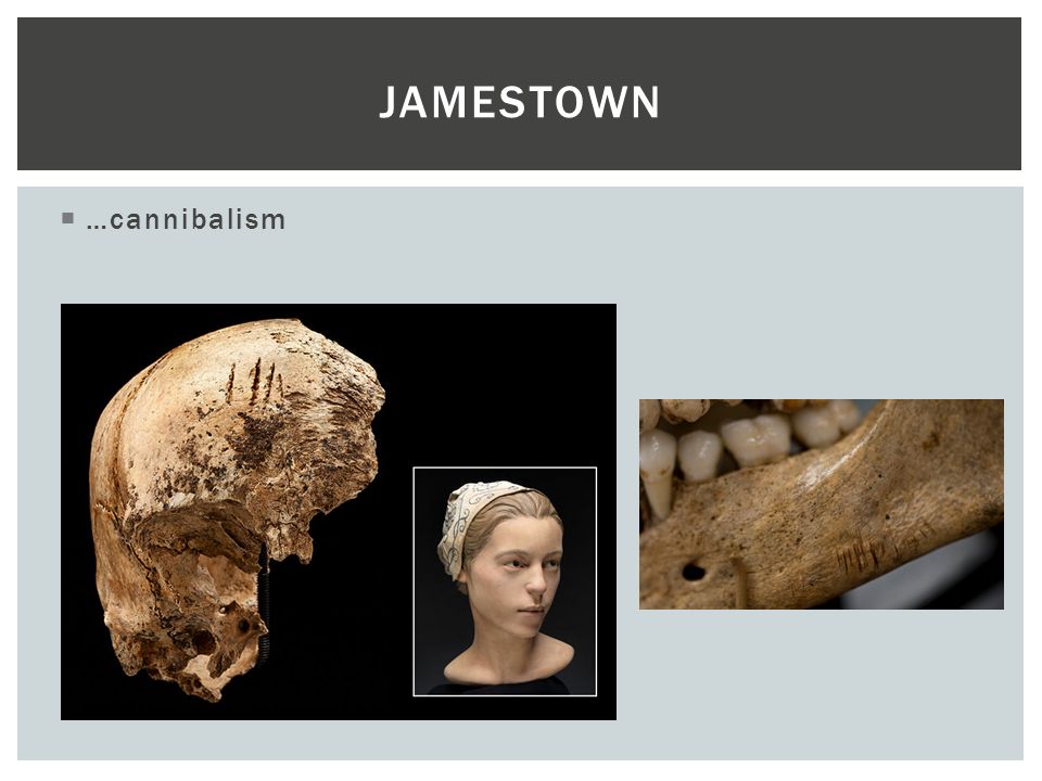  …cannibalism JAMESTOWN