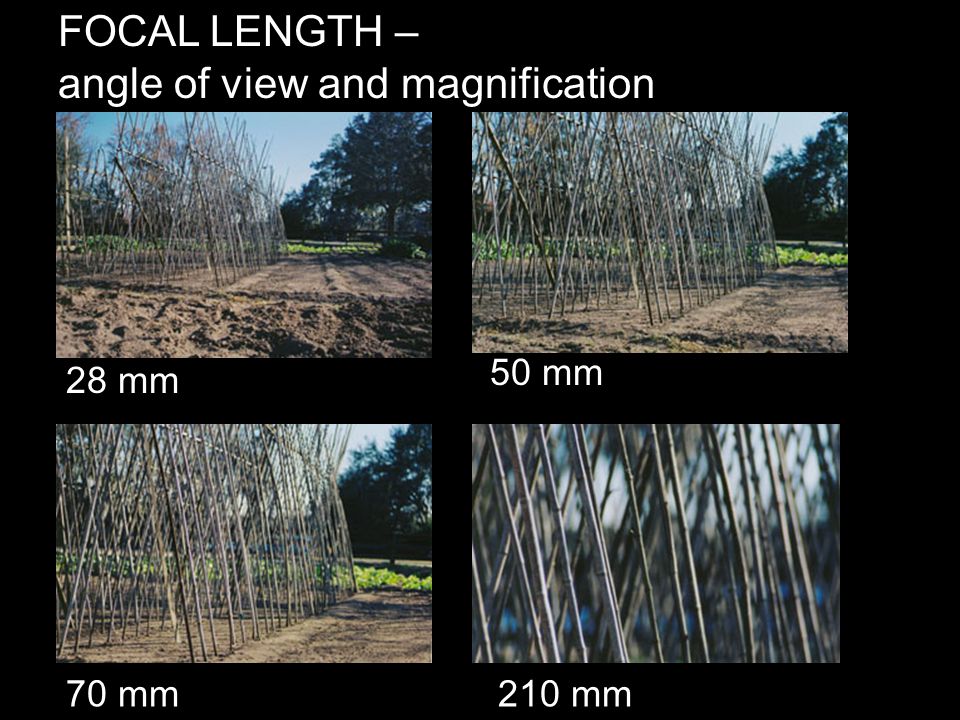 LENSES The specs: focal length maximum aperture “long lenses, short lenses  fast lenses, slow lenses” Fixed focal length (prime) or zoom. - ppt download