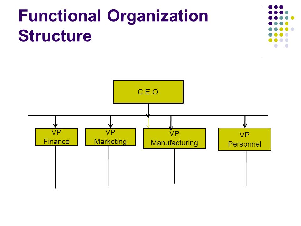 management organization organization structure three basic basic organizational structure