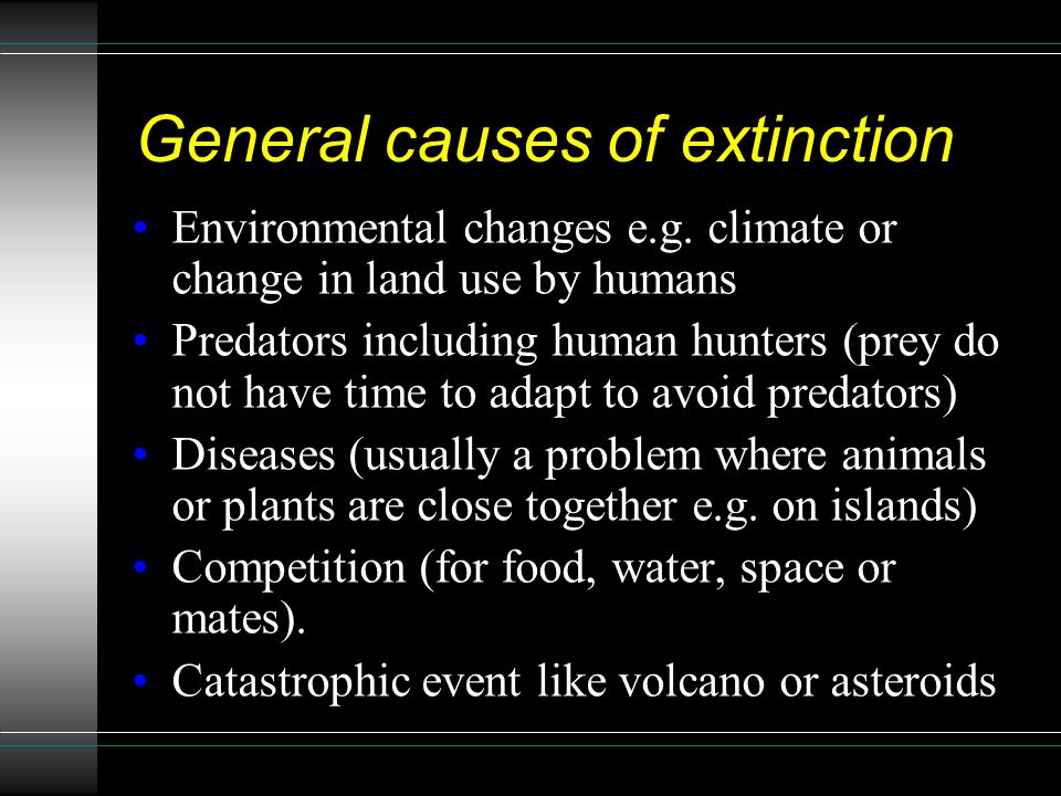 Extinction : To understand why a species may become extinct Starter: In  pairs make a list of extinct animals and endangered animals. Mind map –  what. - ppt download