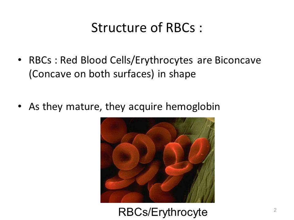 1 Blood Physiology :. 2 Structure Of RBCs : RBCs : Red Blood Cells ...