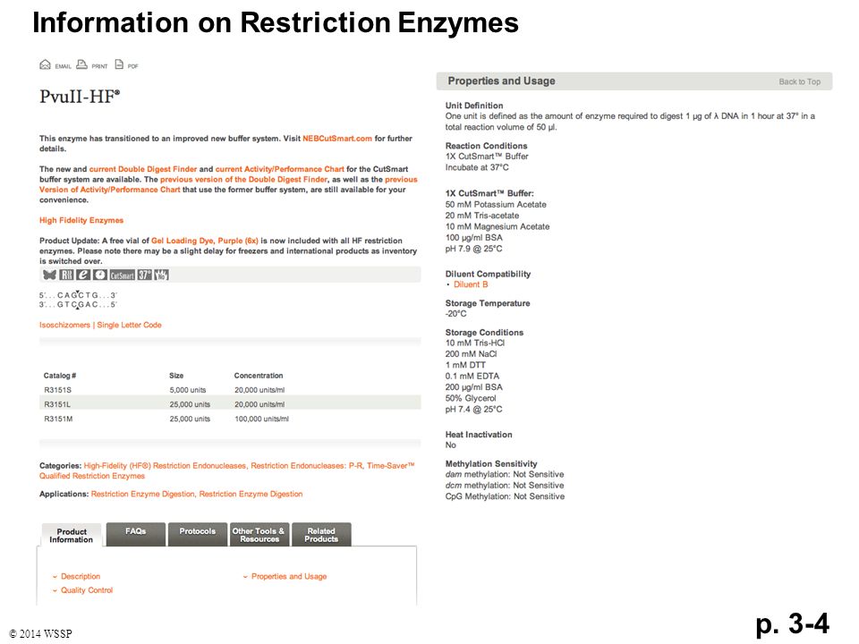 p. 3-4 Information on Restriction Enzymes © 2014 WSSP