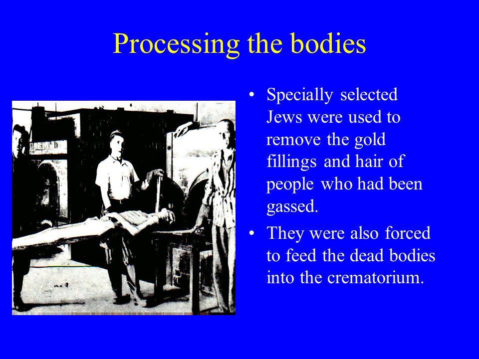 Processing the bodies Specially selected Jews were used to remove the gold fillings and hair of people who had been gassed.