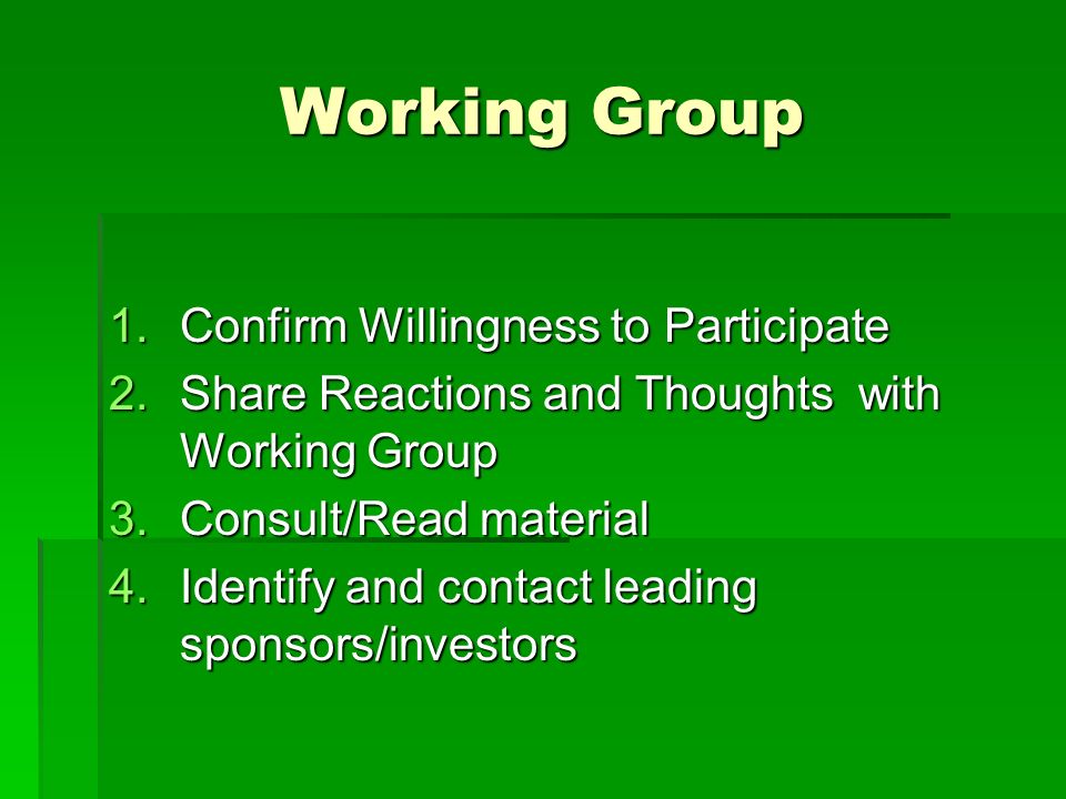 Working Group 1.Confirm Willingness to Participate 2.Share Reactions and Thoughts with Working Group 3.Consult/Read material 4.Identify and contact leading sponsors/investors