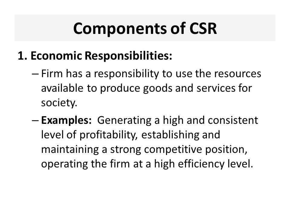 The CSR Equation Economic Responsibilities Legal Responsibilities Ethical Responsibilities Philanthropic Responsibilities = Total Corporate CSR