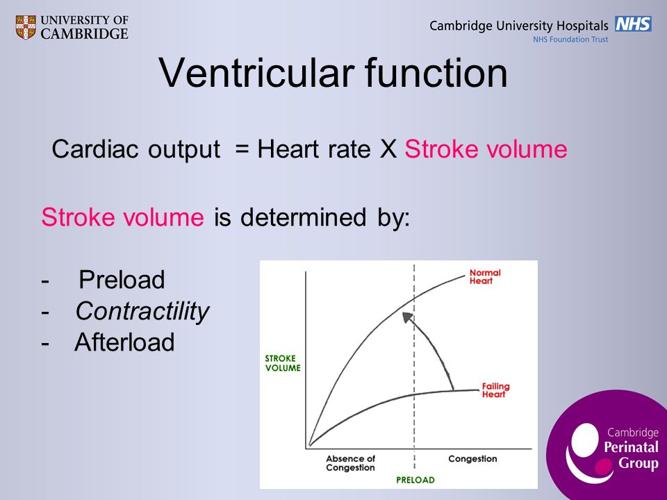 Ventricular function Stroke volume is determined by: - Preload -Contractility -Afterload Cardiac output = Heart rate X Stroke volume