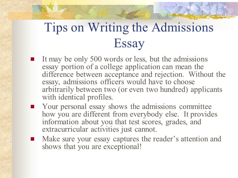 examples of 500 word college essay
