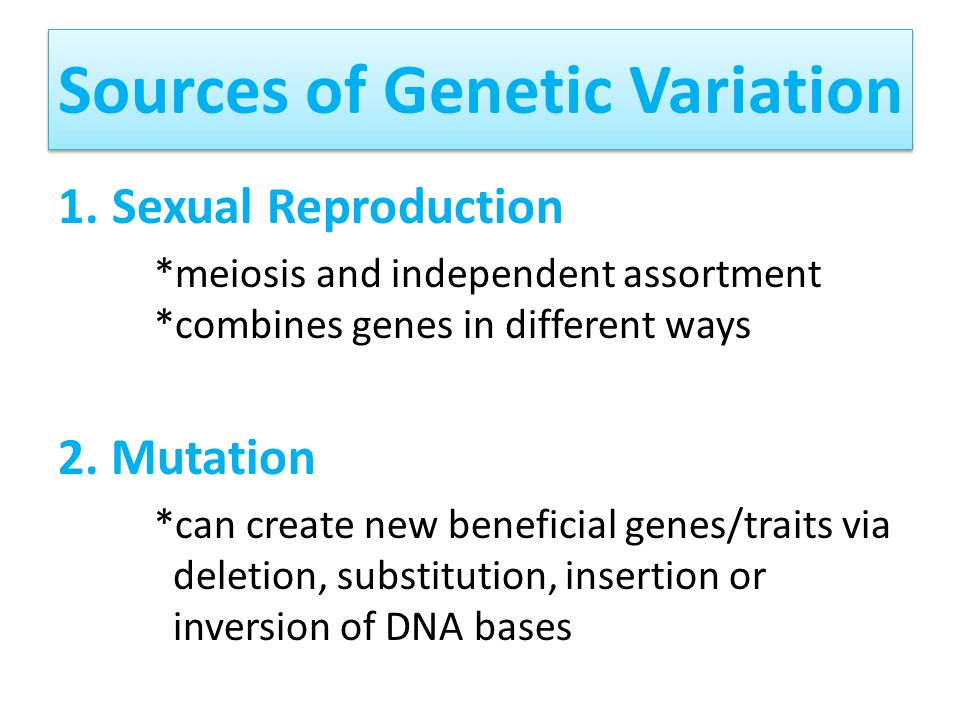 Sources of Genetic Variation 1.Sexual Reproduction *meiosis and independent assortment *combines genes in different ways 2.