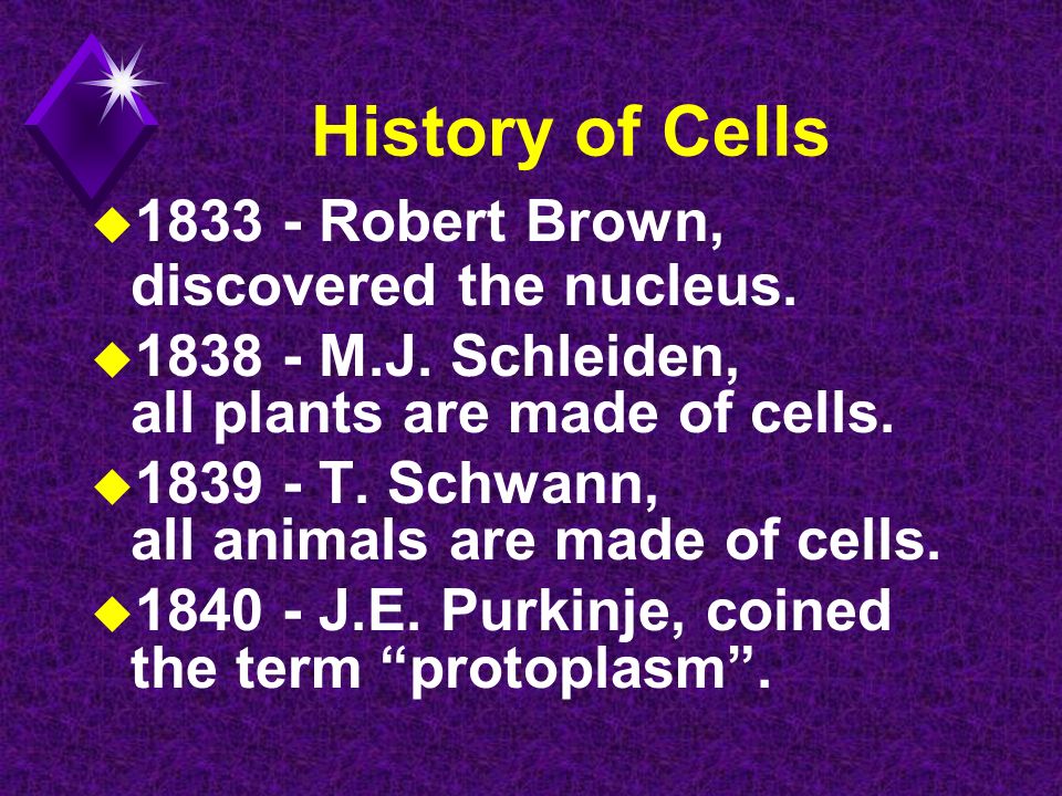 Chapter 4 A Tour of the Cell. History of Cells u Robert Hooke - Observed  cells in cork. u Coined the term "cells” in ppt download