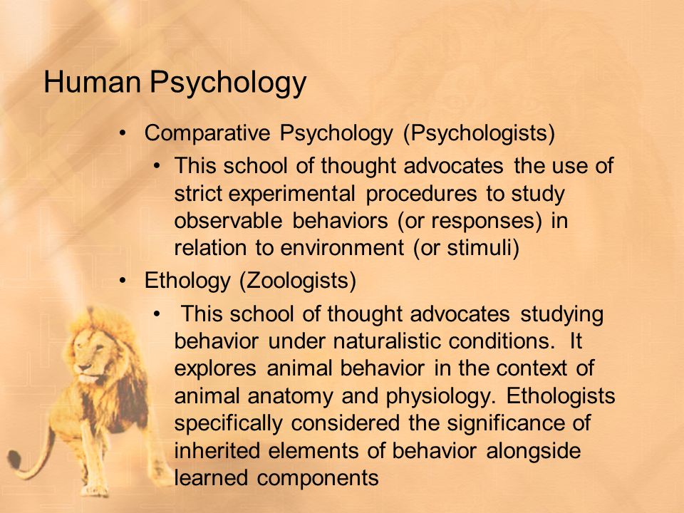 Animal Behavior Biology 17. Why Study Animal Behavior??? - ppt download