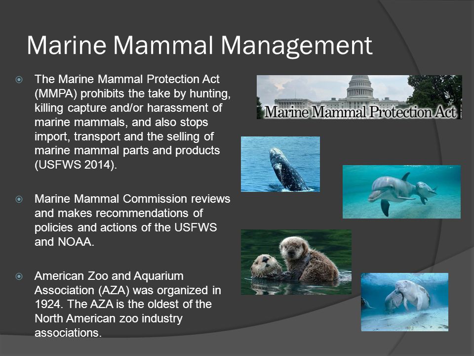 Marine Mammal Protection Act - Marine Mammal Commission