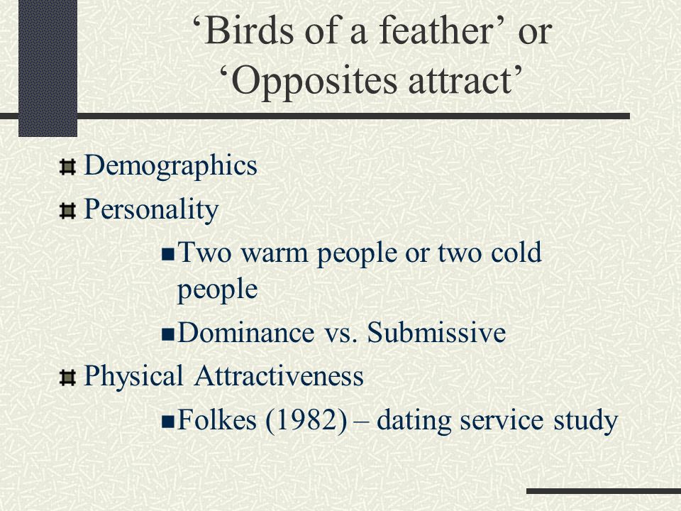 ‘Birds of a feather’ or ‘Opposites attract’ Demographics Personality Two warm people or two cold people Dominance vs.