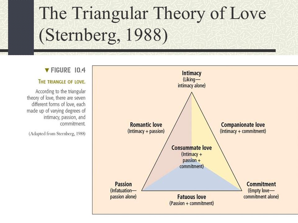 The Triangular Theory of Love (Sternberg, 1988) Passion Commitment Intimacy