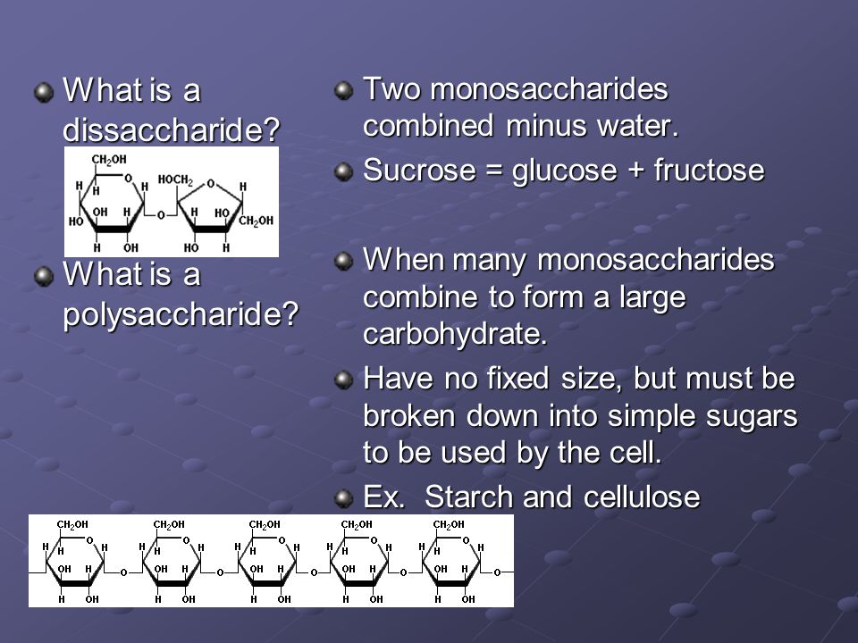 What is a dissaccharide. What is a polysaccharide.