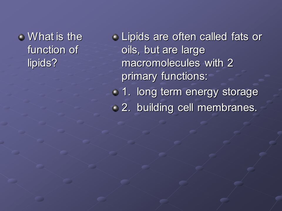 What is the function of lipids.
