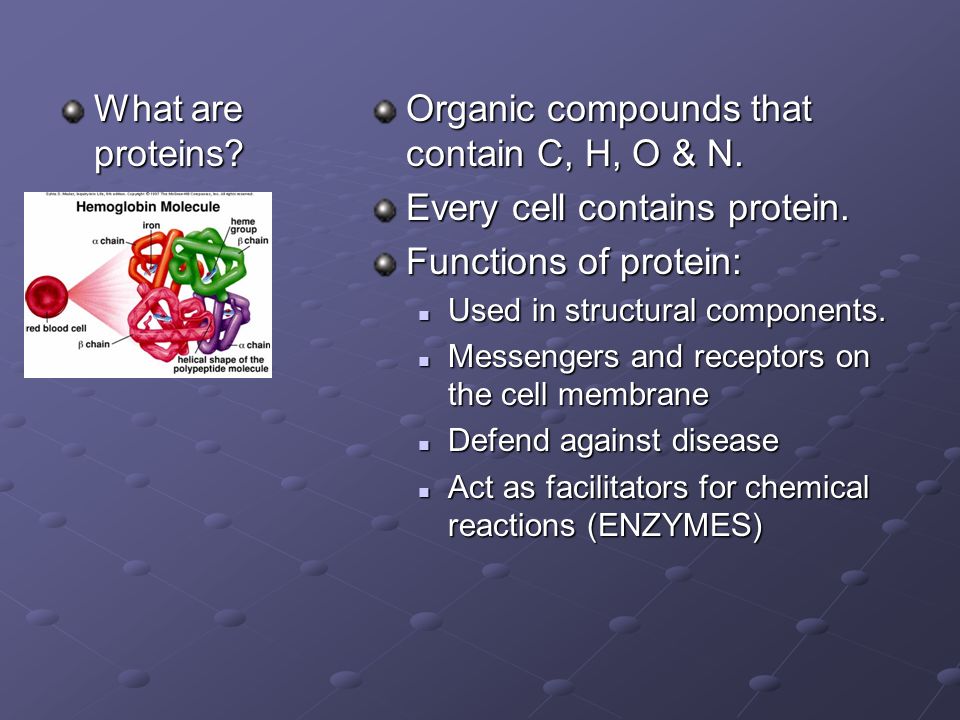 What are proteins. Organic compounds that contain C, H, O & N.