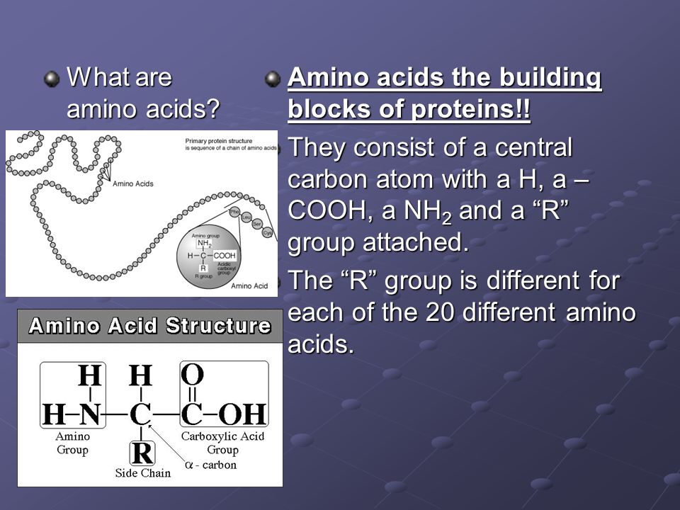 What are amino acids. Amino acids the building blocks of proteins!.