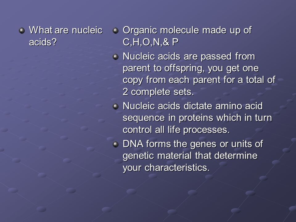 What are nucleic acids.