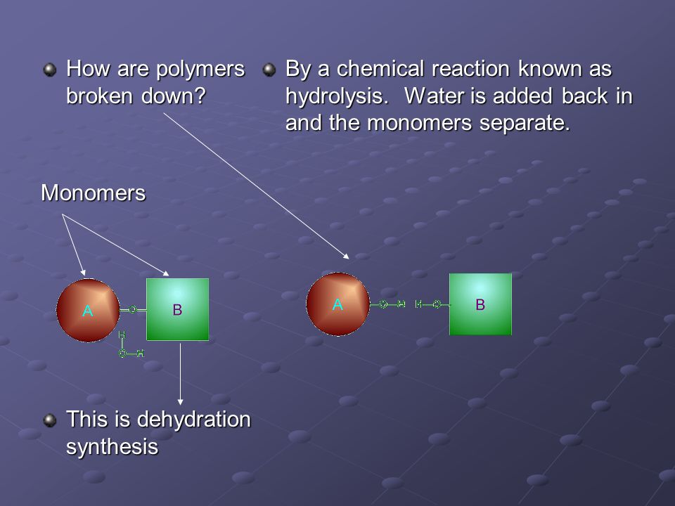 How are polymers broken down.