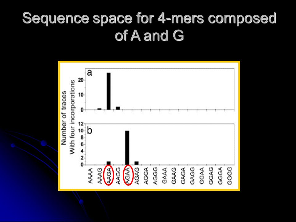 Sequence space for 4-mers composed of A and G