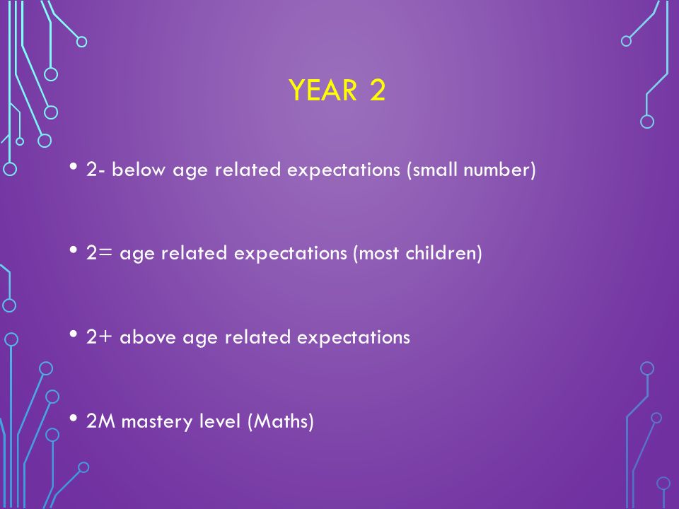 YEAR 2 2- below age related expectations (small number) 2= age related expectations (most children) 2+ above age related expectations 2M mastery level (Maths)