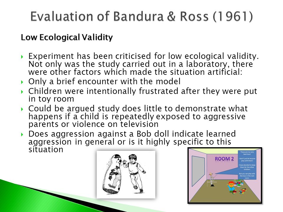 Low Ecological Validity  Experiment has been criticised for low ecological validity.