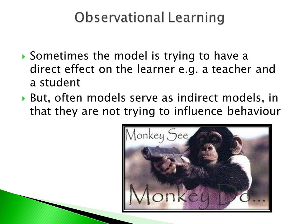  Sometimes the model is trying to have a direct effect on the learner e.g.