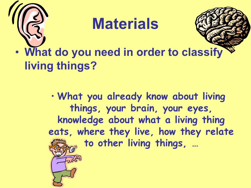 Materials What do you need in order to classify living things.