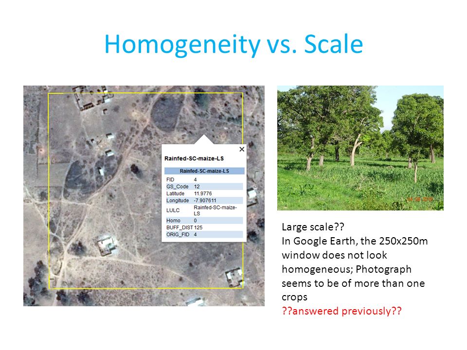 February 2014 Homogeneity vs. Scale Large scale .