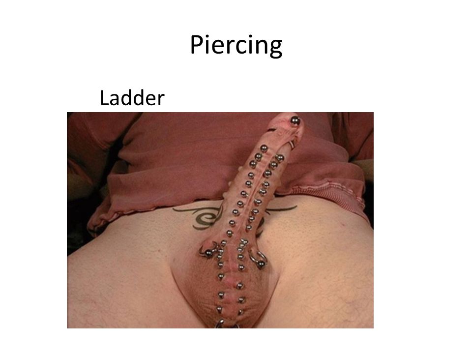 Ladder piercing penis Genital. 