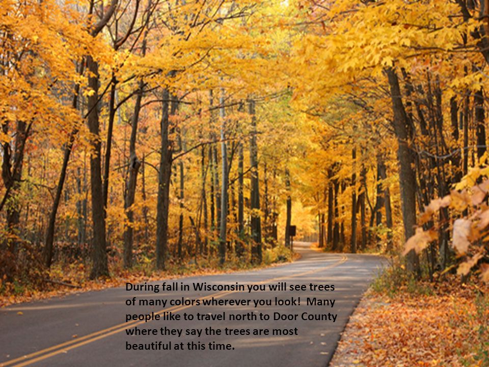 SpringWinter Summer Fall Yes, Wisconsin has them all. - ppt download