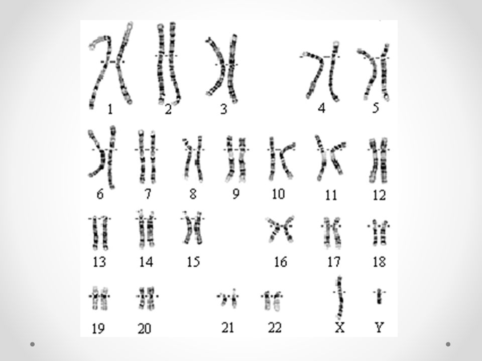 Chapter 14 Human Heredity Ppt Video Online Download