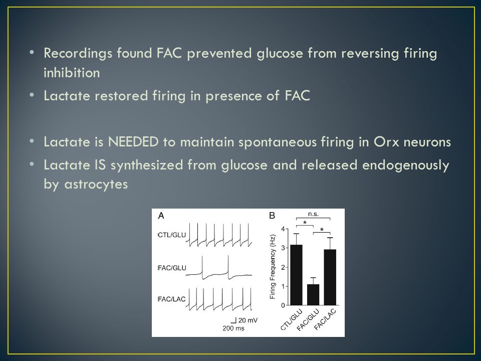 Recordings found FAC prevented glucose from reversing firing inhibition Lactate restored firing in presence of FAC Lactate is NEEDED to maintain spontaneous firing in Orx neurons Lactate IS synthesized from glucose and released endogenously by astrocytes