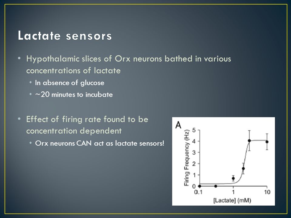 Hypothalamic slices of Orx neurons bathed in various concentrations of lactate In absence of glucose ~20 minutes to incubate Effect of firing rate found to be concentration dependent Orx neurons CAN act as lactate sensors!