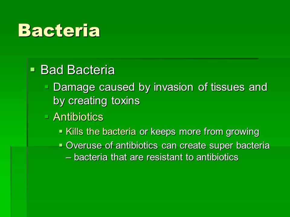 Microbiology The study of things microscopic. Bacteria Kingdom ...