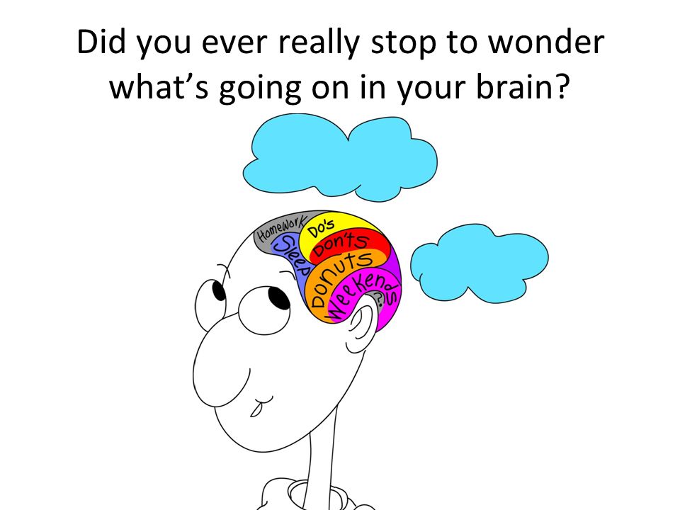 This Is Whats Going On In Your Brain >> And Your Brain Did You Know The Brain Is The Consistency Of Soft This Is Whats Going On In Your Brain >> And Your Brain Did You Know The Brain Is The Consistency Of Soft